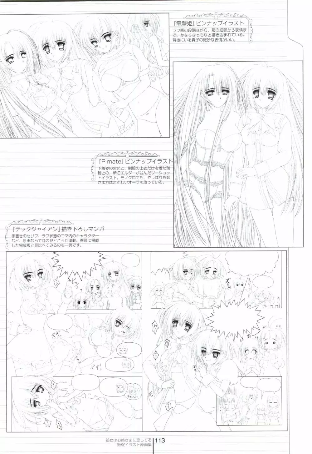 処女はお姉様に恋してる Page.113