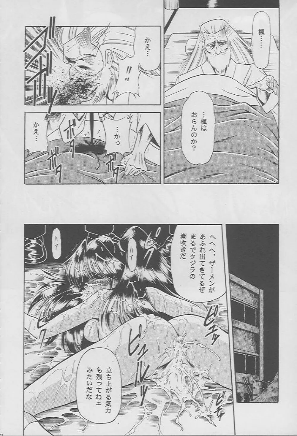 楓の剣 Page.29