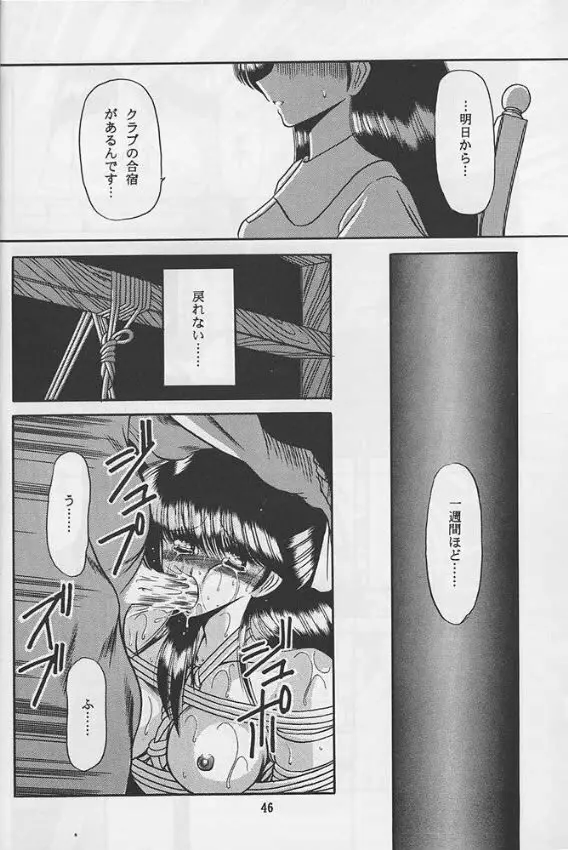 隷嬢日記 Page.44