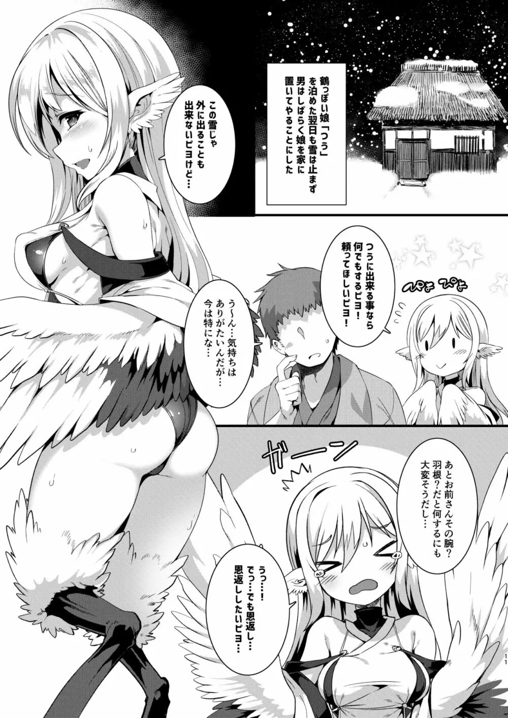 つるハーピィの恩返し+会場限定本 Page.10