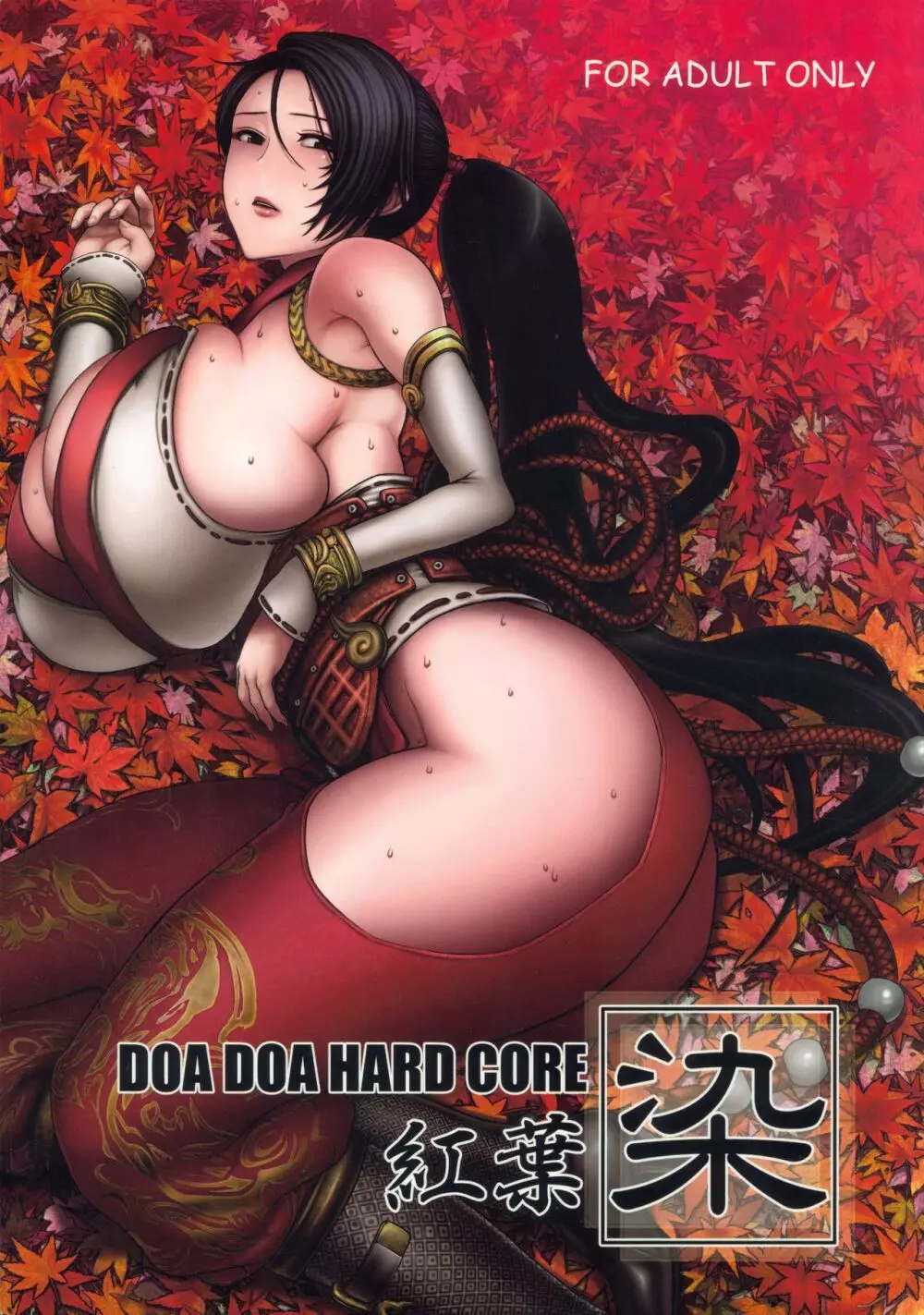 DOA DOA HARD CORE 紅葉染 Page.1