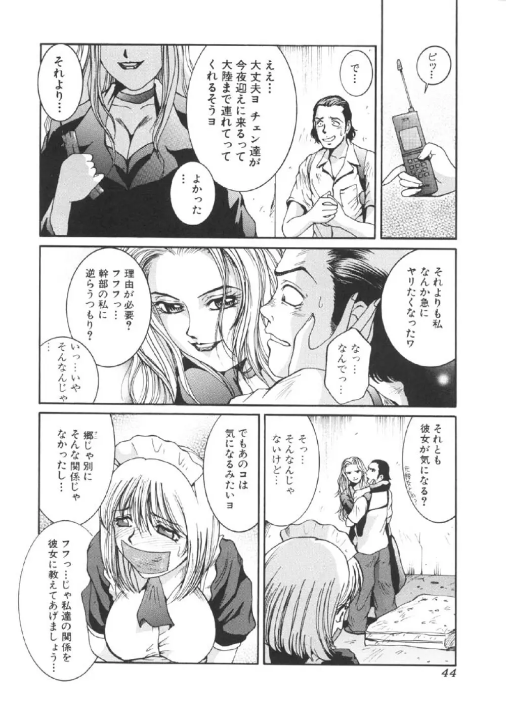 過激な淑女 Page.45