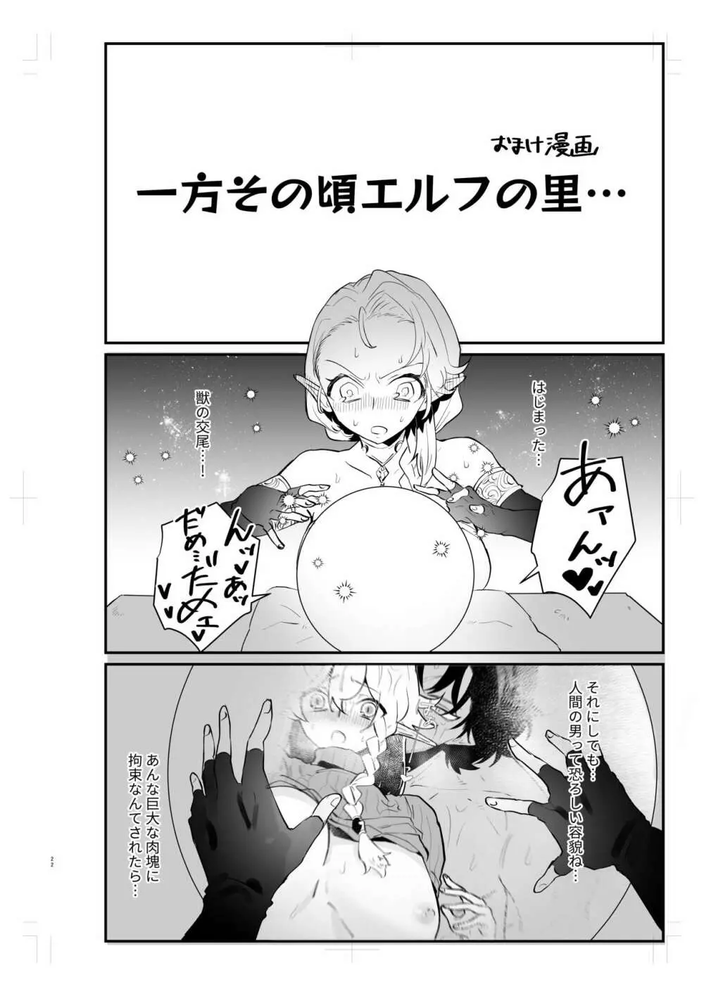 爪弾き者のソムニア2 Page.21