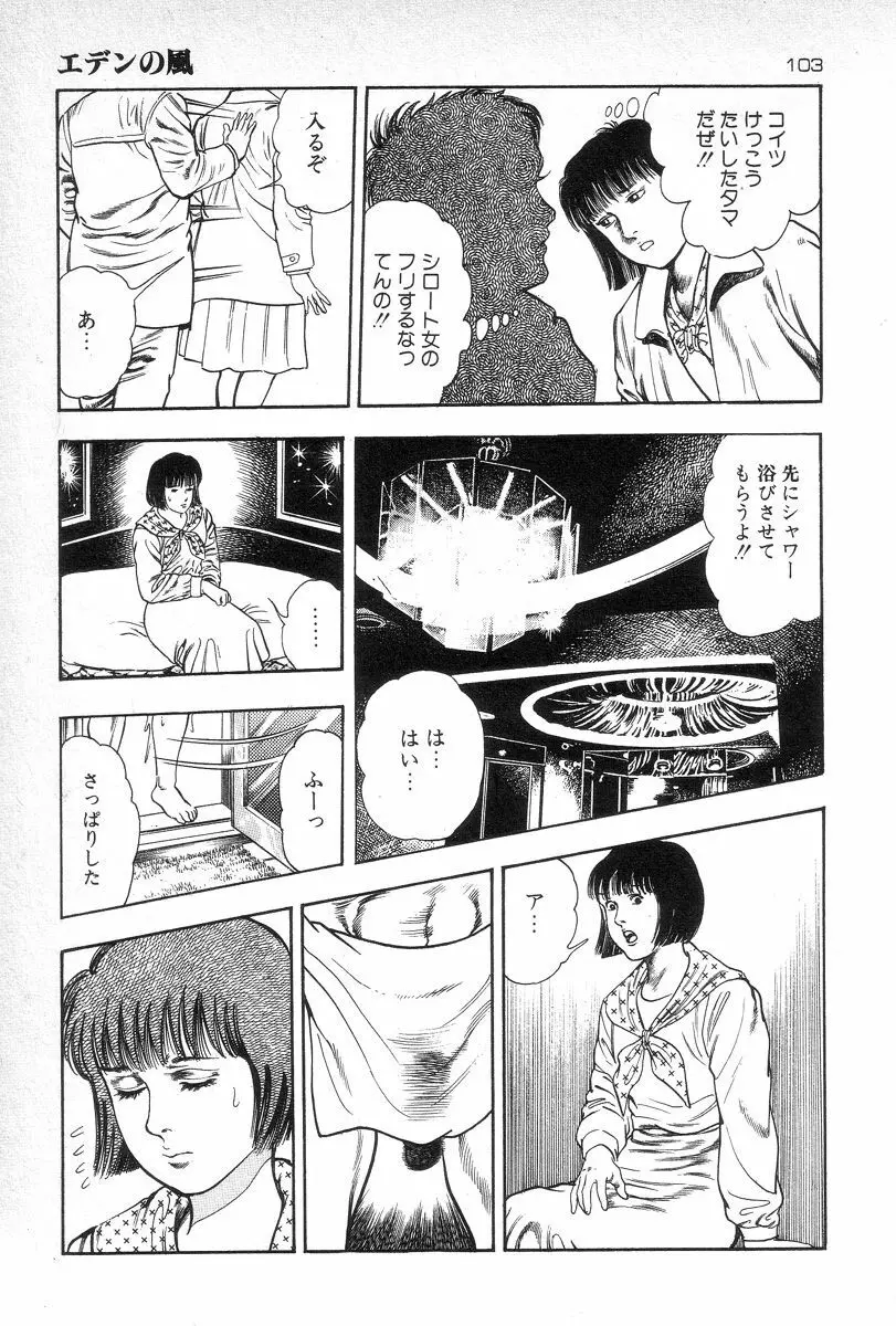 エデンの風 Page.105