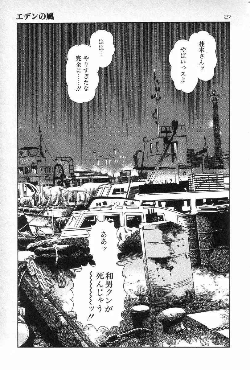 エデンの風 Page.29