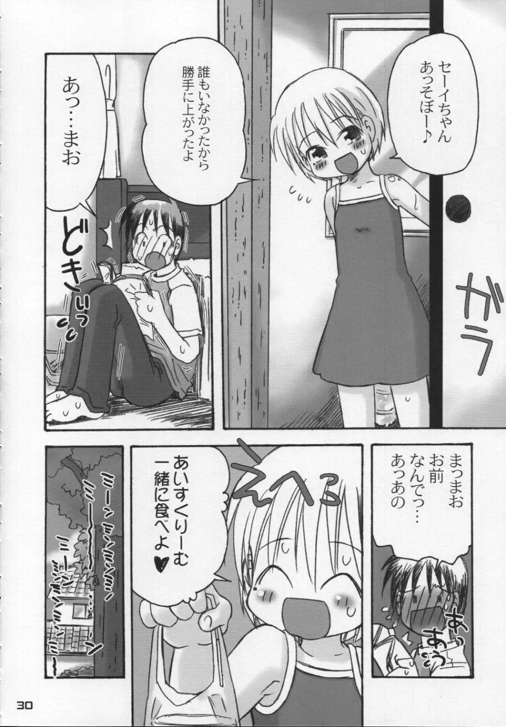 なつのかんさつにっき Page.29