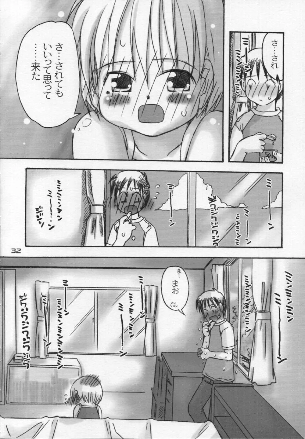 なつのかんさつにっき Page.31