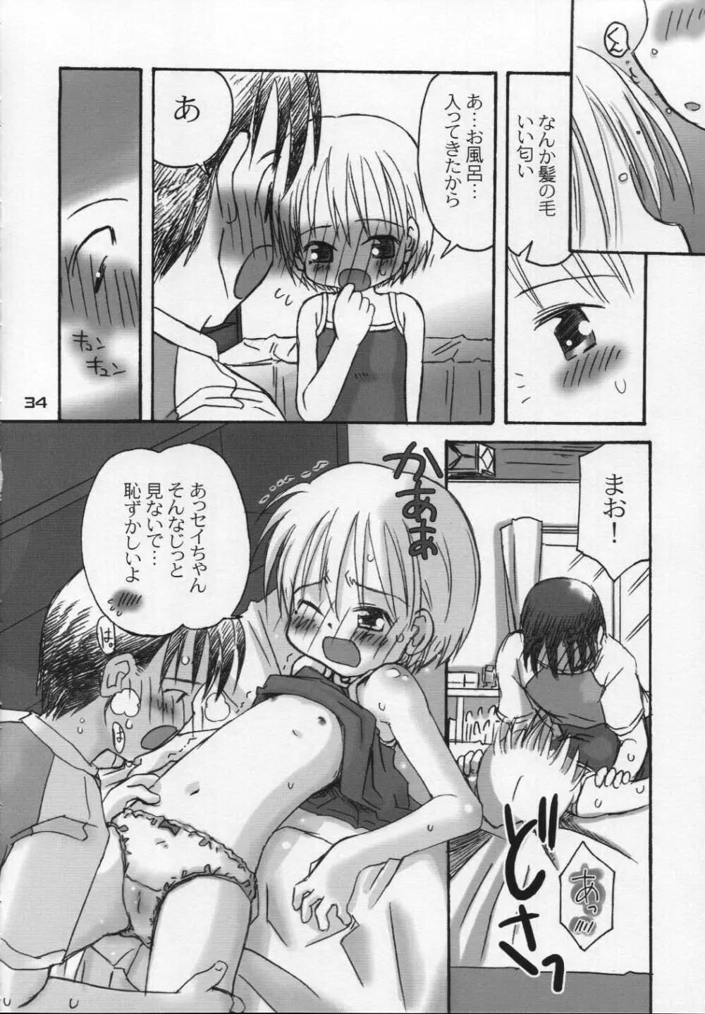 なつのかんさつにっき Page.33