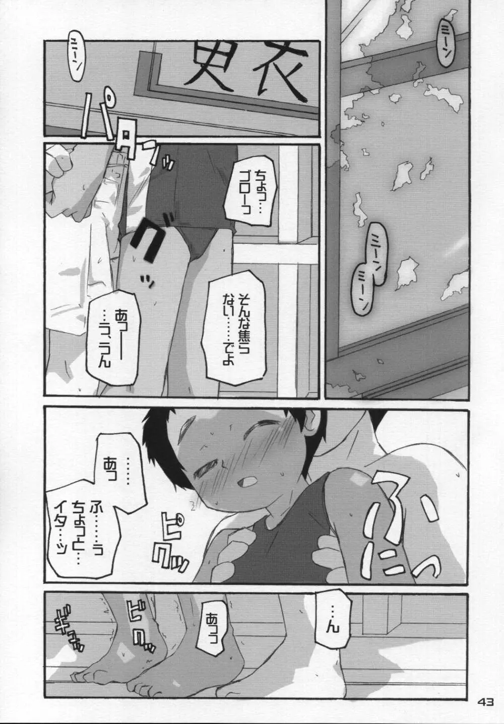 なつのかんさつにっき Page.42