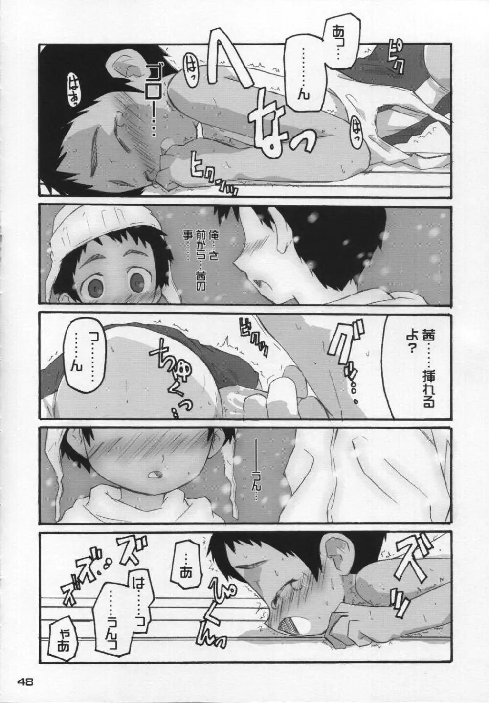 なつのかんさつにっき Page.47