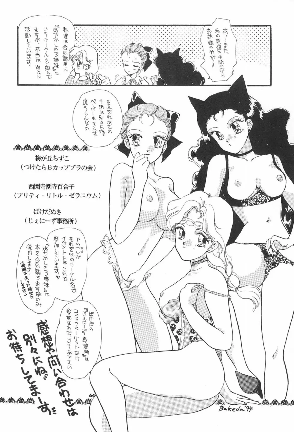 ちびうさ危機一髪 Page.66