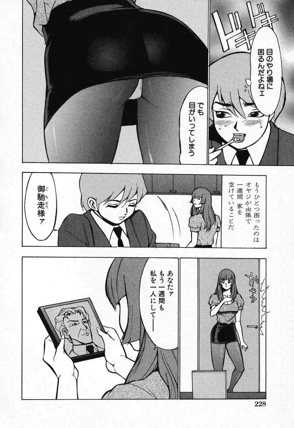 禁断姦淫 第08巻 ～義母養女相姦～ Page.230