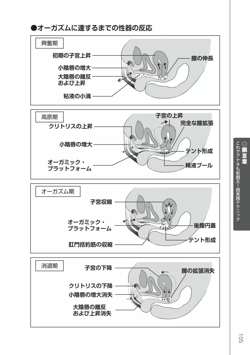 前戯王 挿入より大事な性感のトリセツ Page.107