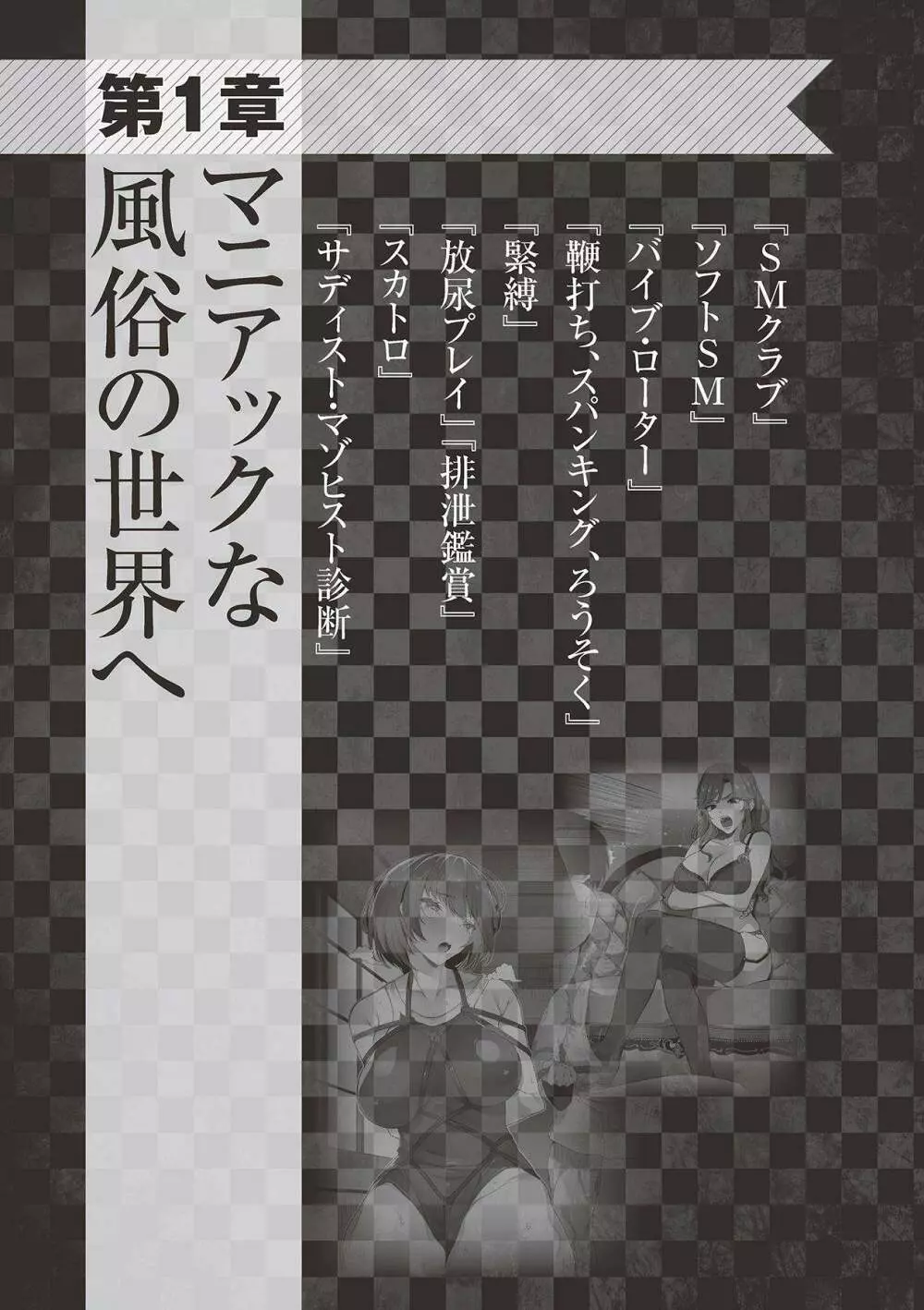 アブノーマル風俗入門 ラブドール風俗から、1000万円の風俗嬢まで Page.11