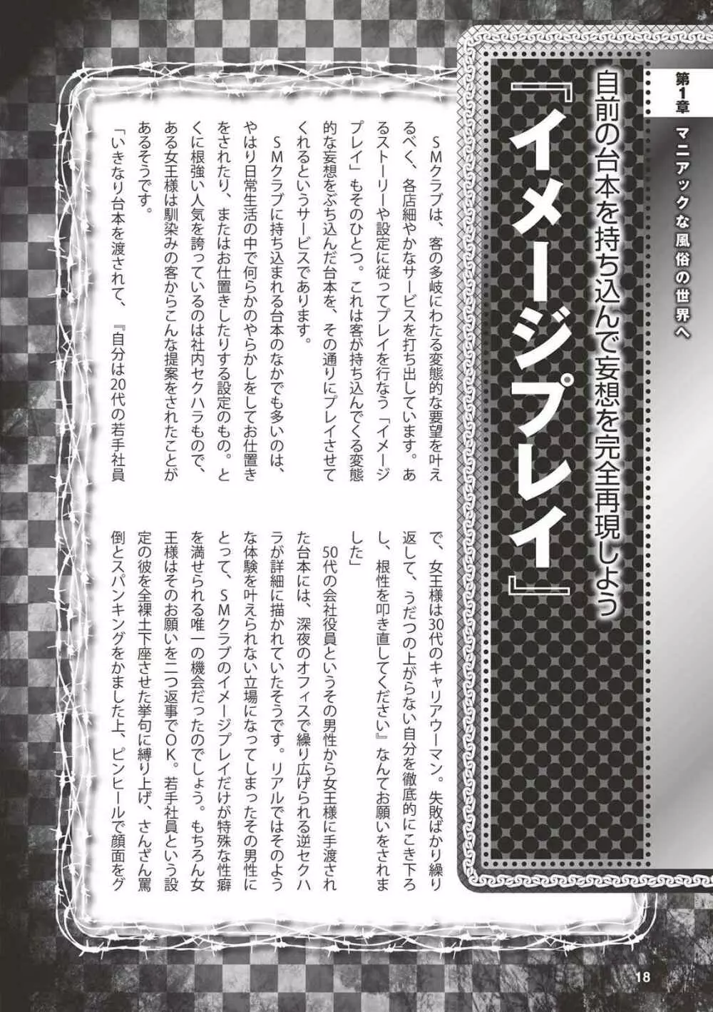 アブノーマル風俗入門 ラブドール風俗から、1000万円の風俗嬢まで Page.20