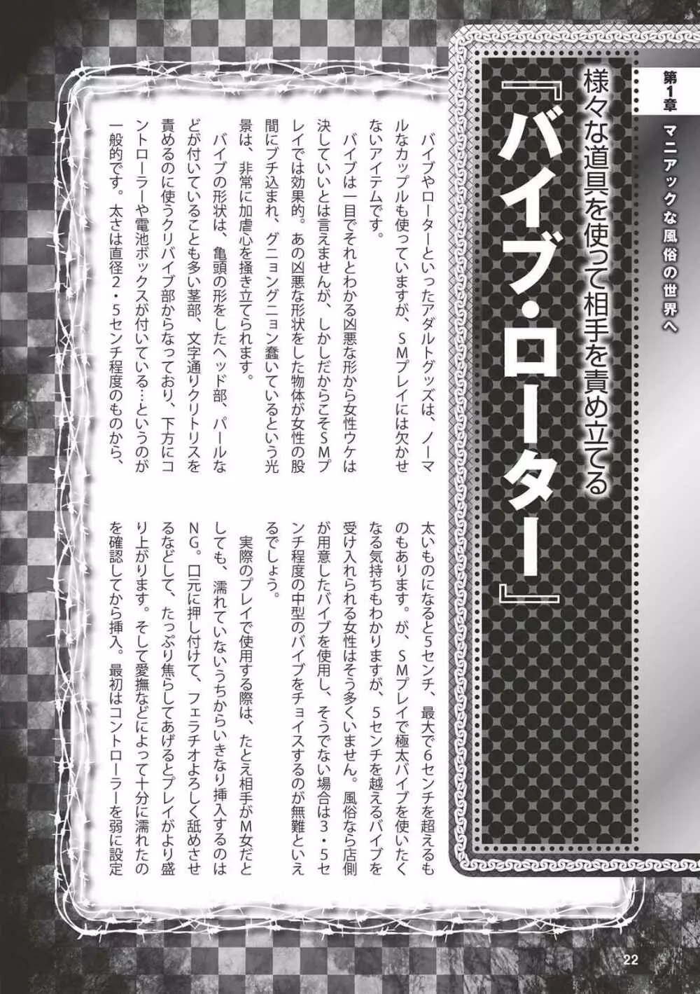 アブノーマル風俗入門 ラブドール風俗から、1000万円の風俗嬢まで Page.24