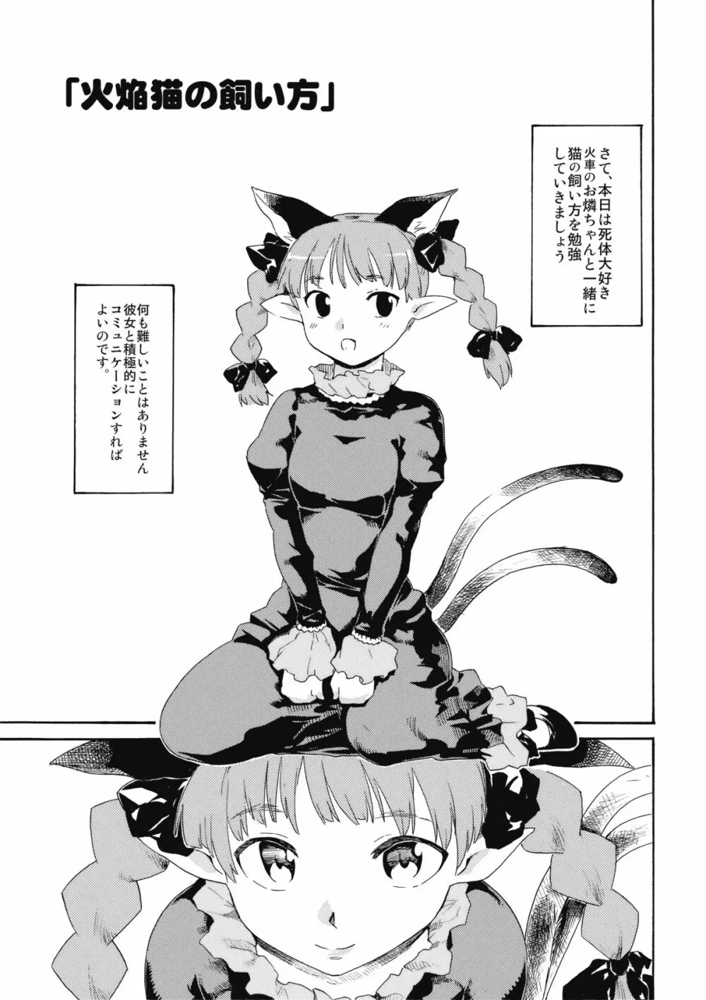 東方浮世絵巻 火焔猫の飼い方・地獄鴉の育て方 Page.3