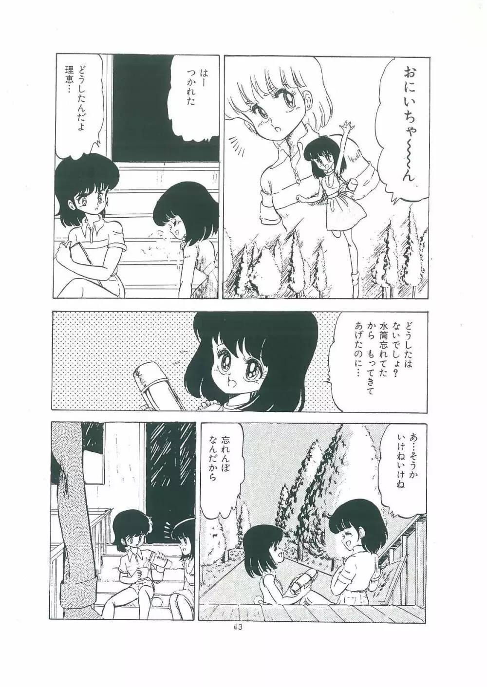 わくわく大満足 Page.45