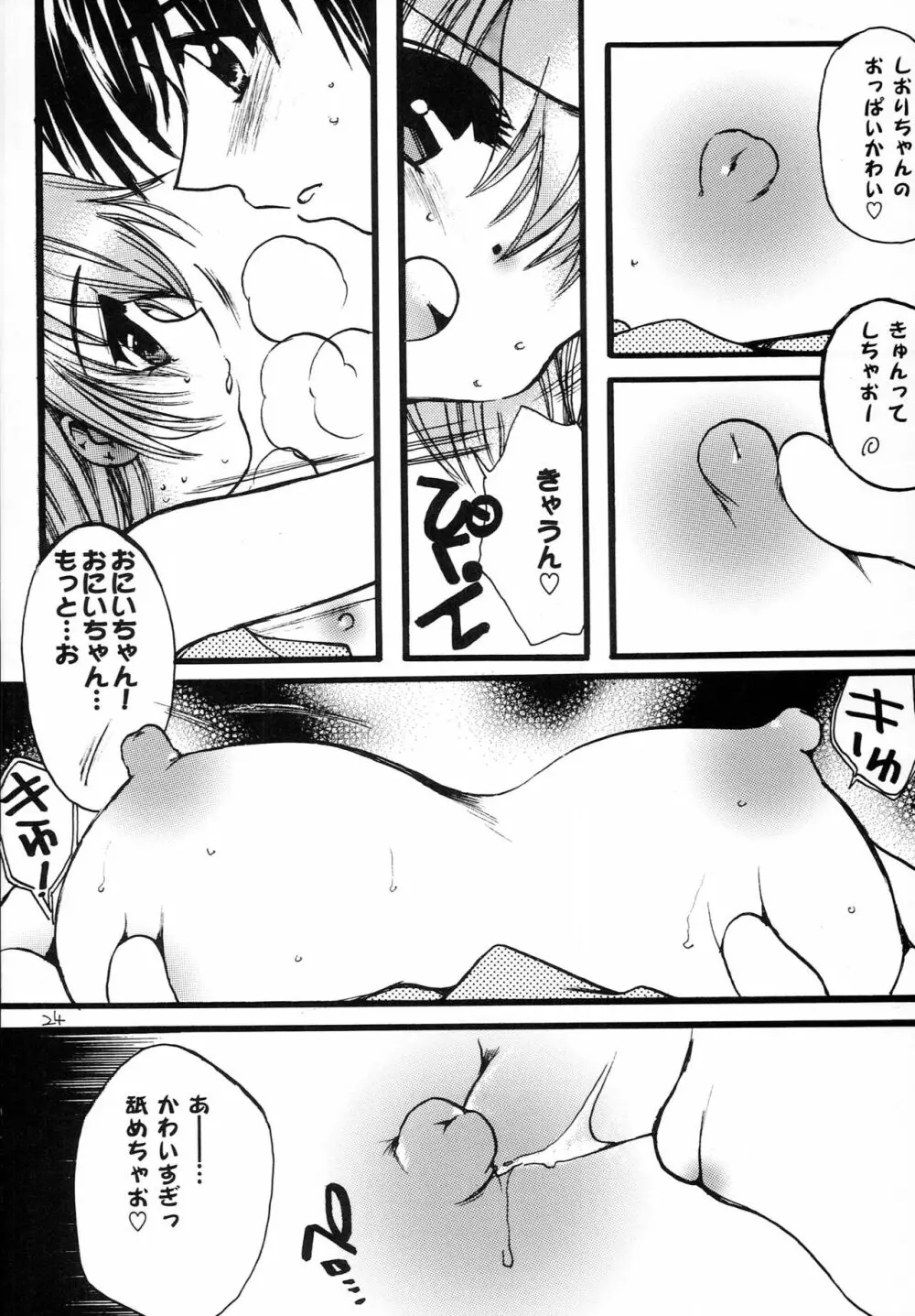 はじめてのないしょなの3 Page.23