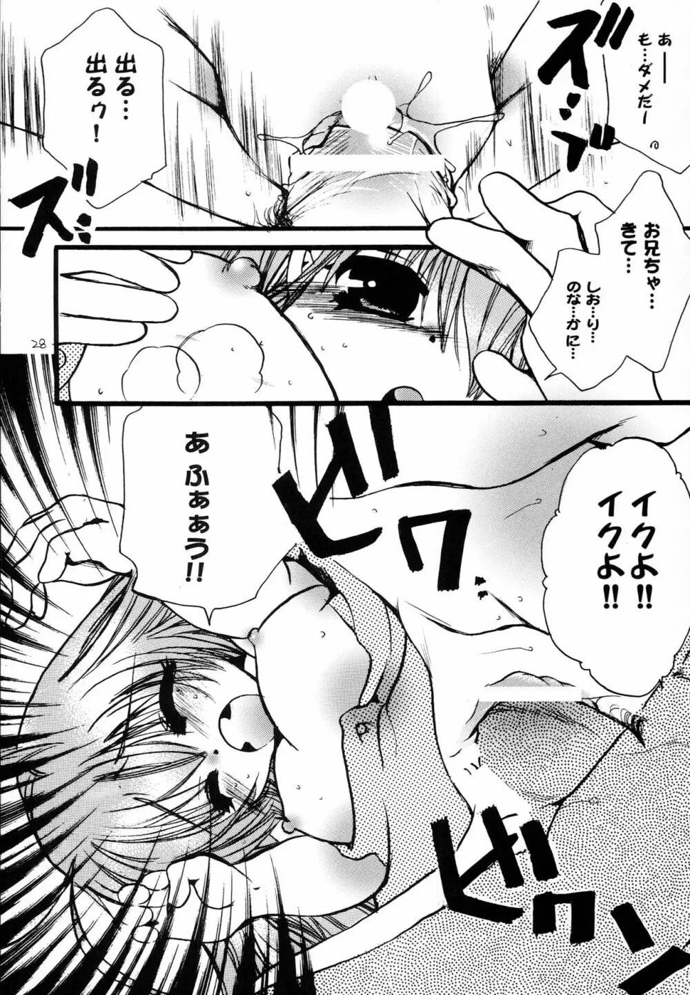 はじめてのないしょなの3 Page.27