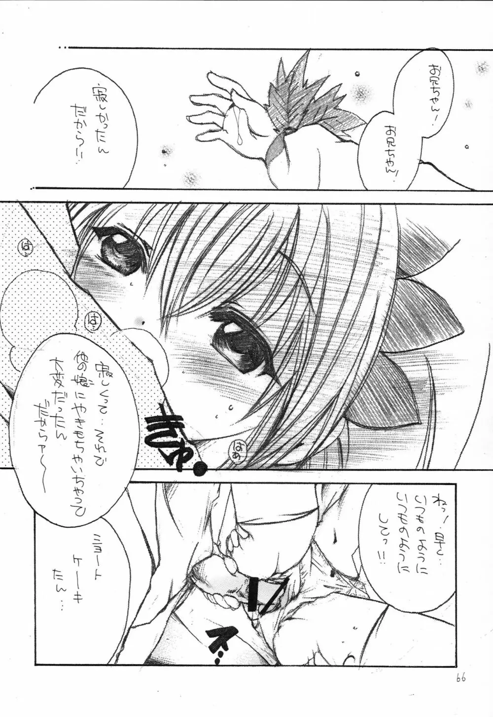 はじめてのないしょなの3 Page.65