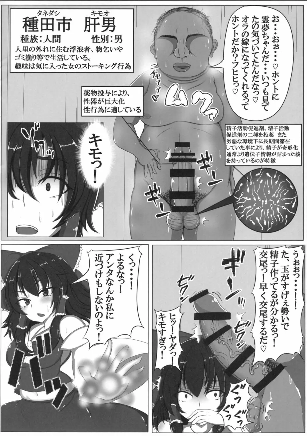 東方婚姻録～博麗霊夢編～ Page.5