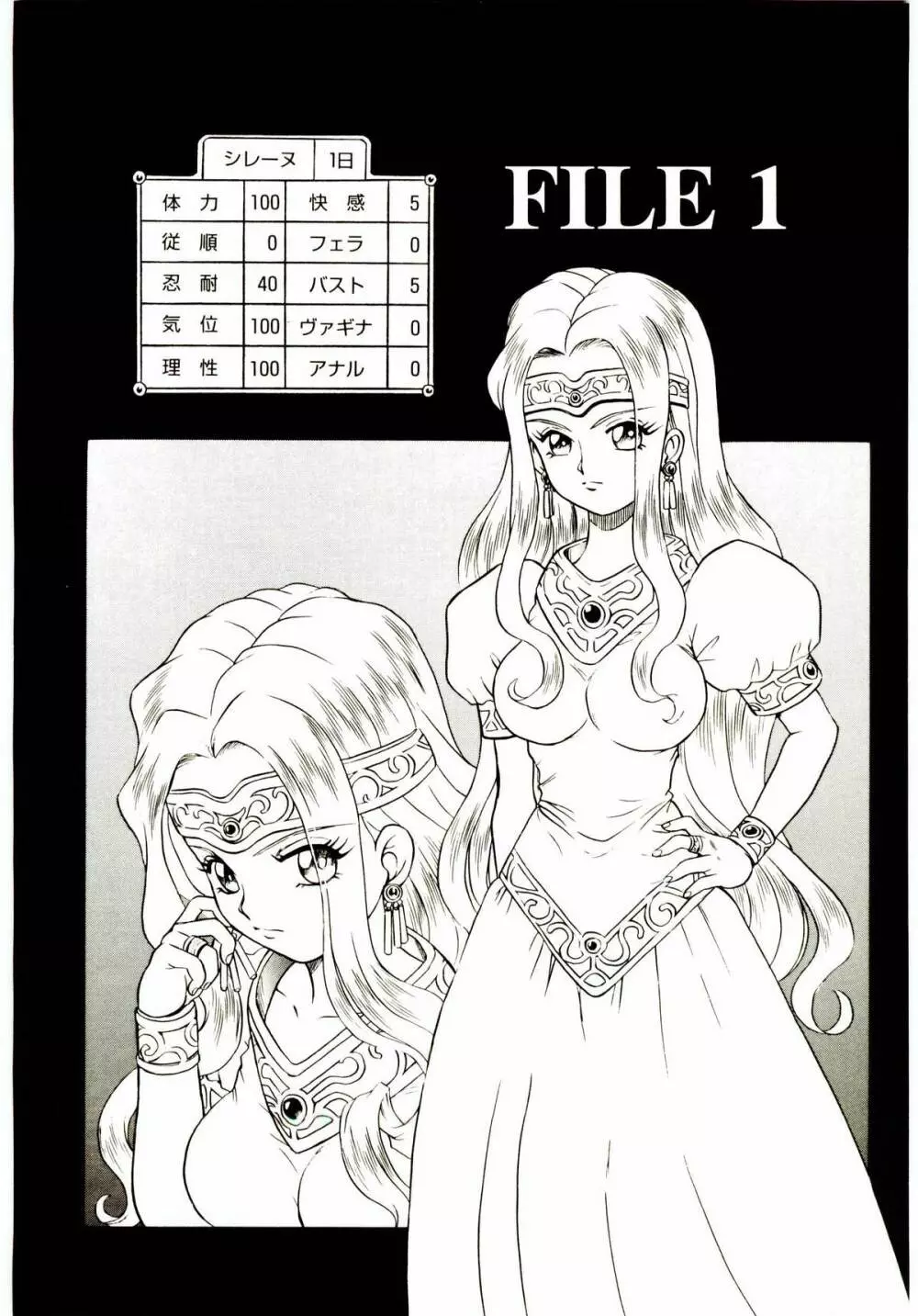 Princess File Page.13