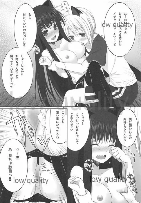 お姉ちゃんとちゅっちゅしよっ Page.13