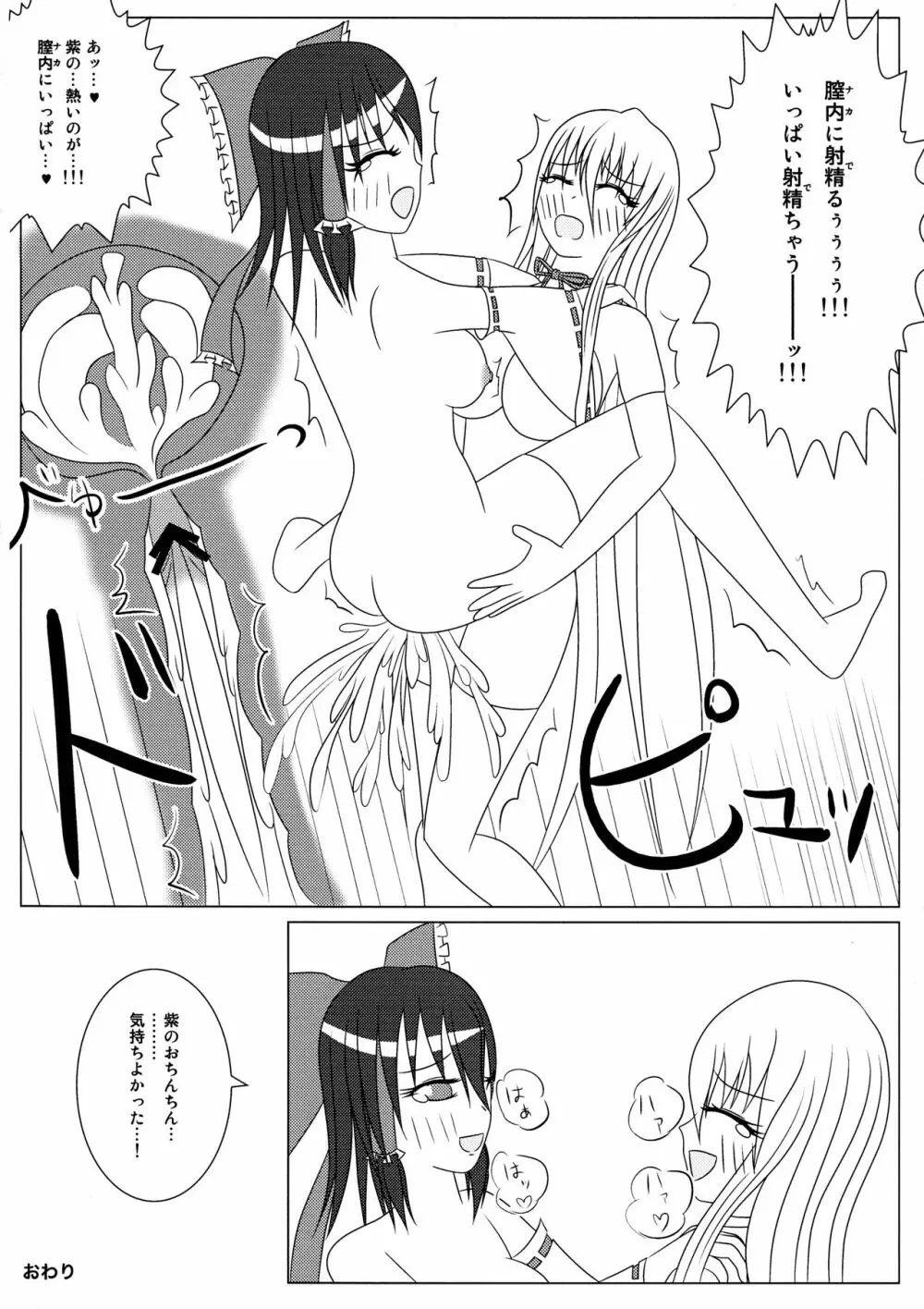 紫と霊夢のH日記 ～ゆかれいむふたなりえっち本～ Page.14