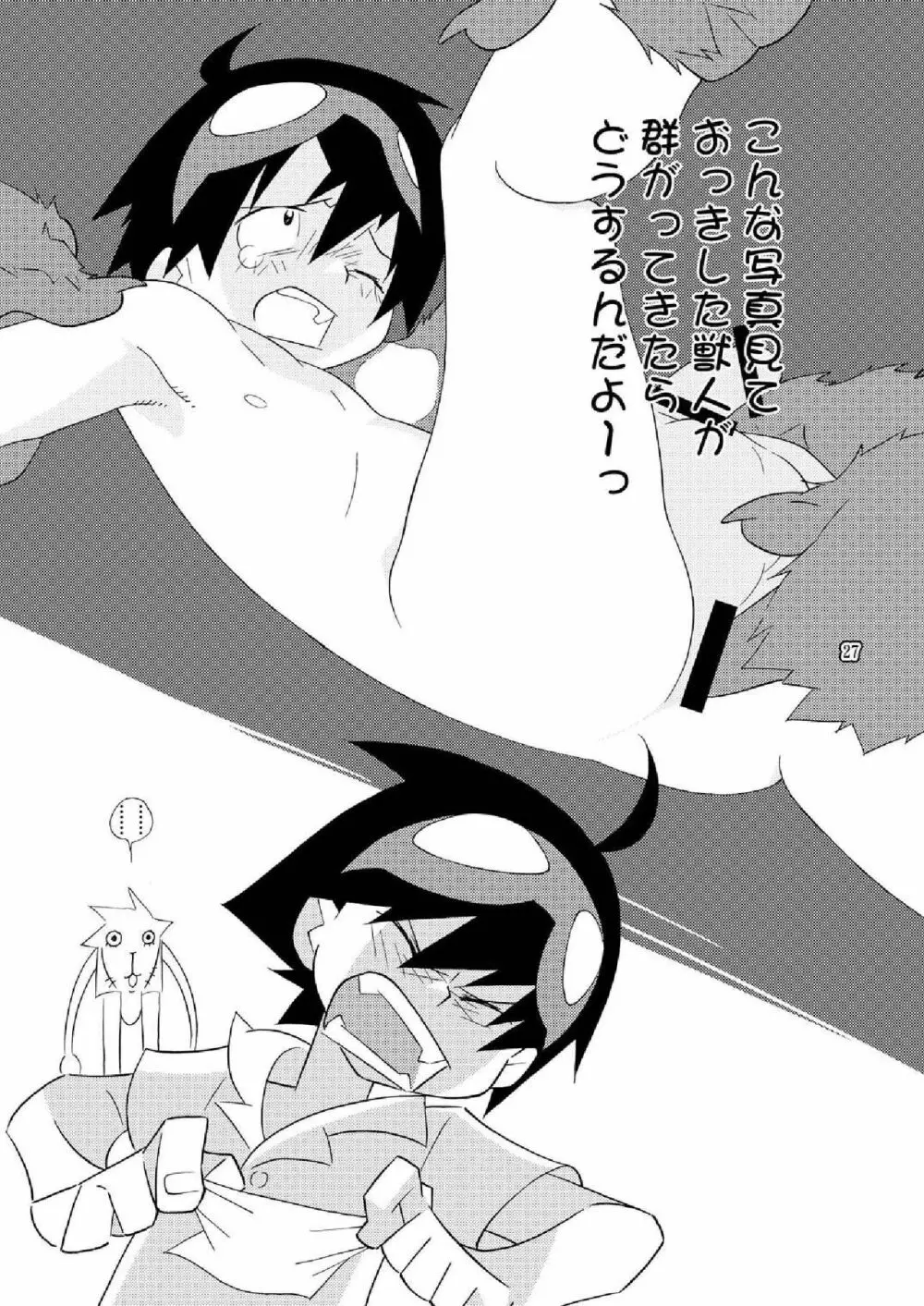 ドリスメル Page.27