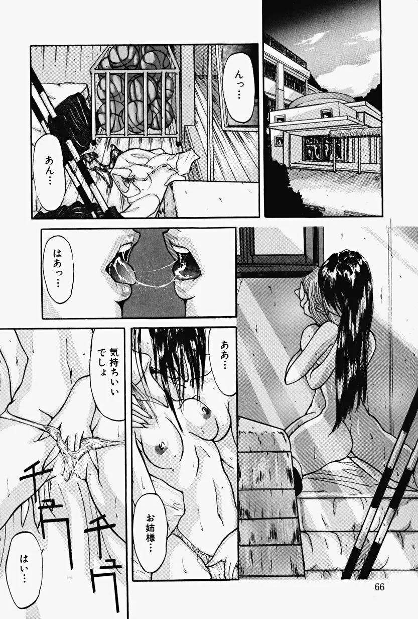 恥虐の肌 Page.69