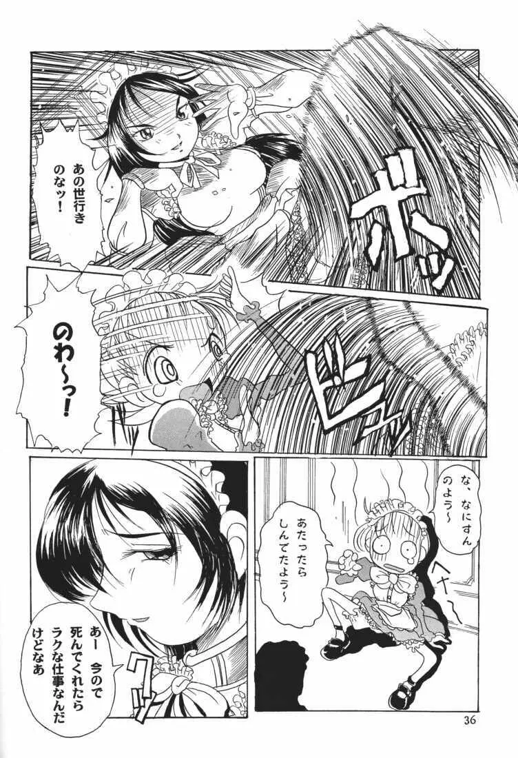 MAID GP2001 Page.34