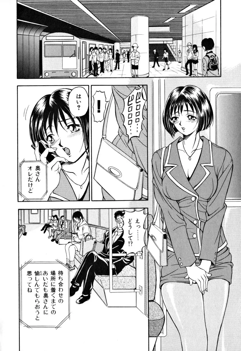 淑女凌辱 Page.15