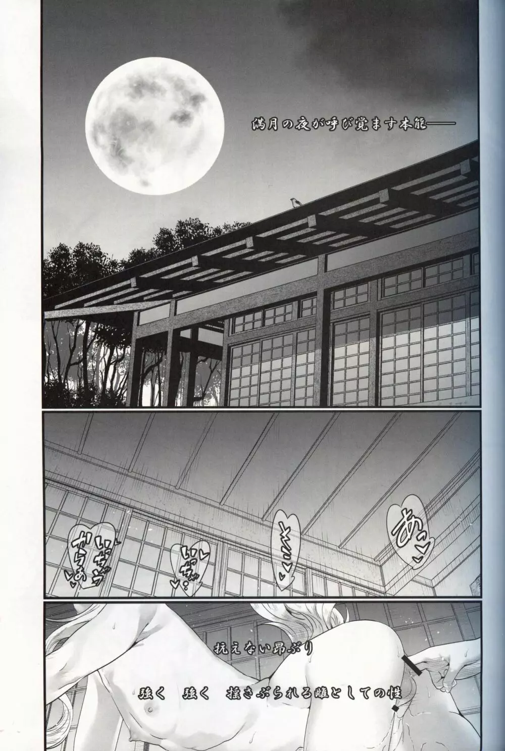 月下の狂艶 Page.4