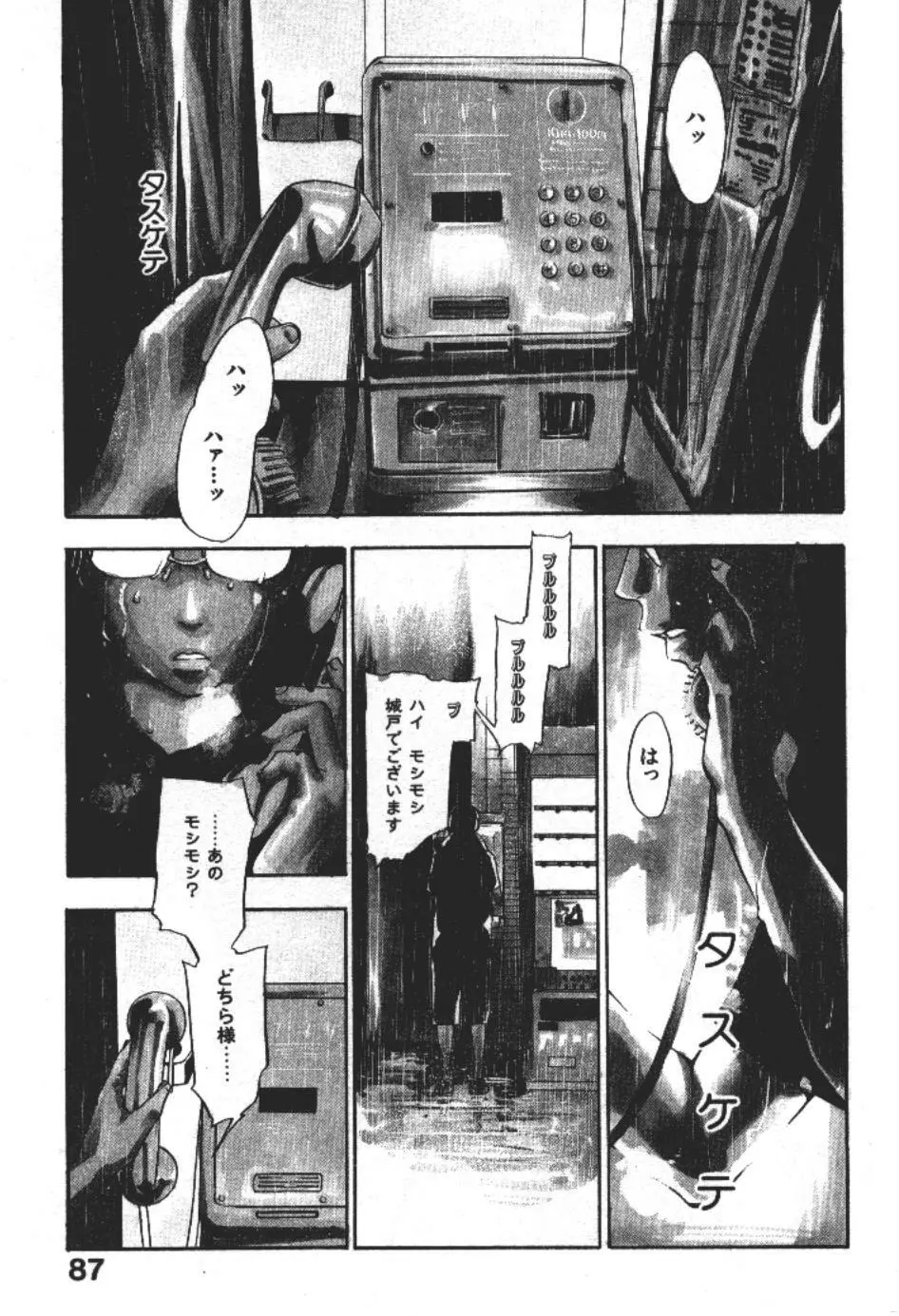 エヴァーグリーン Page.86