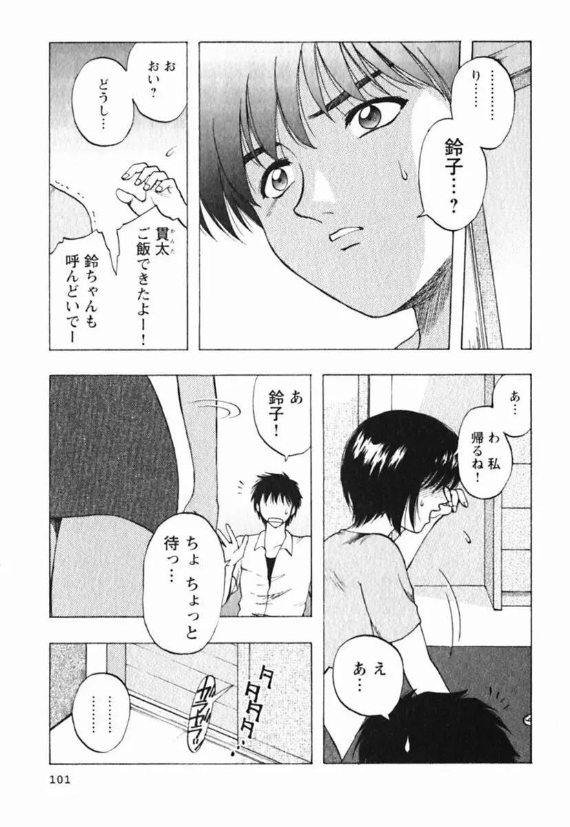 ミセスリンク Page.105