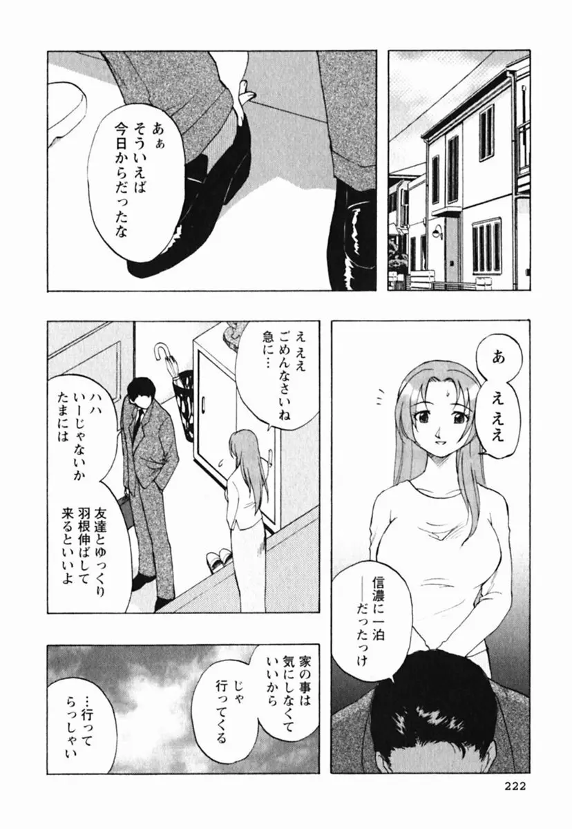 ミセスリンク Page.226