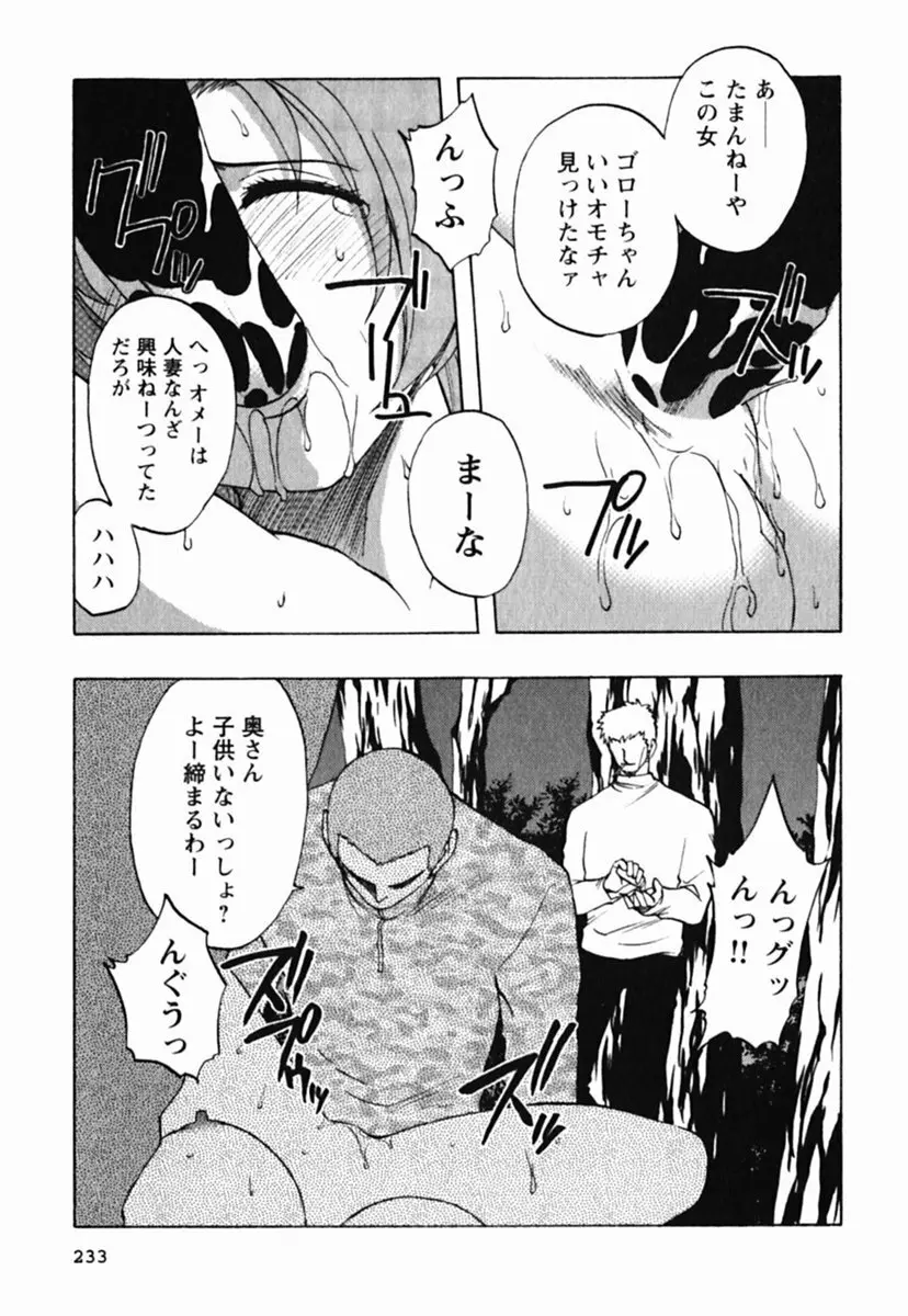 ミセスリンク Page.237