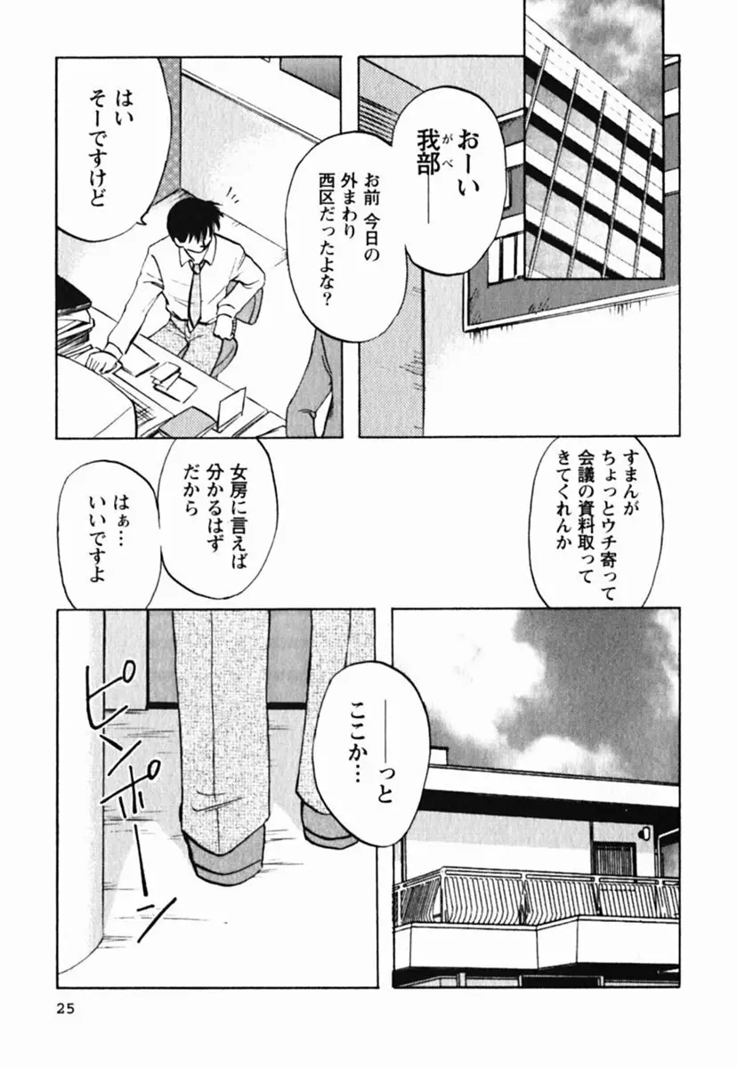 ミセスリンク Page.29