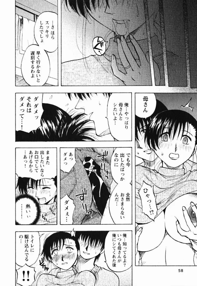 ミセスリンク Page.62