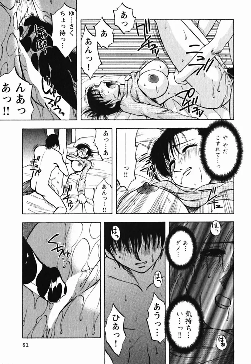 ミセスリンク Page.65