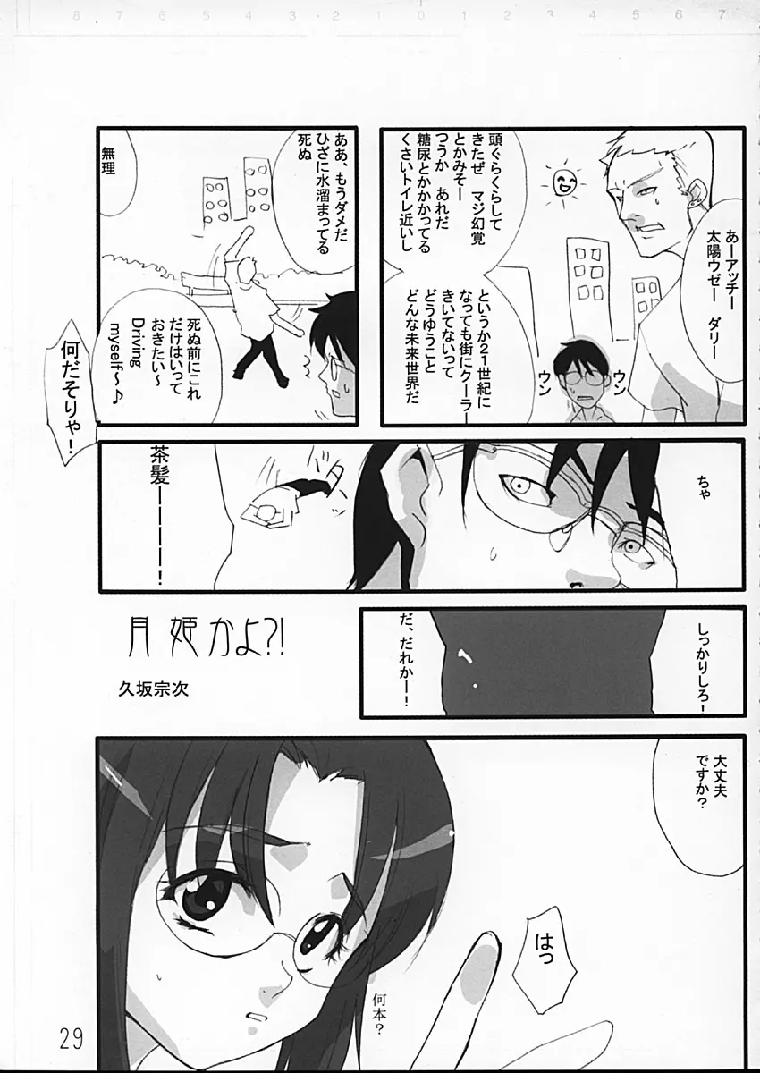 月姫の本 Page.29