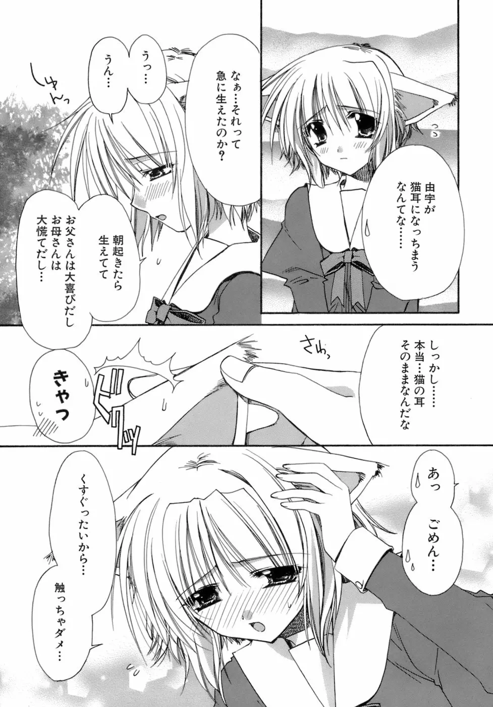 濡れた翼 Page.12