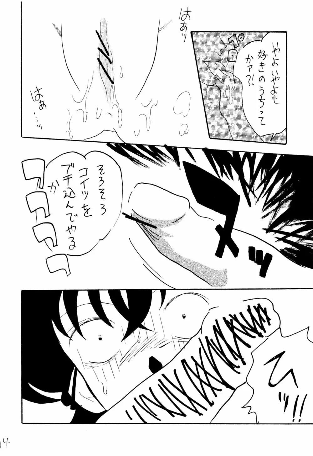 拉致 Page.13