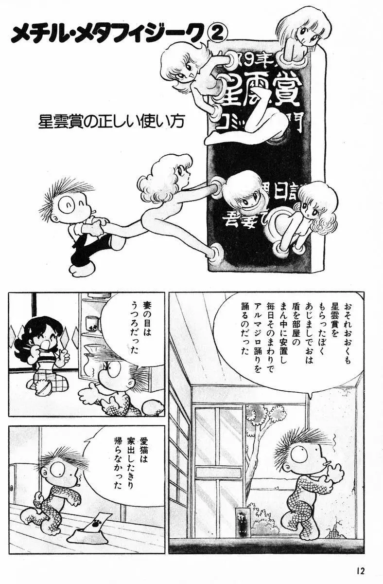 メチル・メタフィジーク Page.13