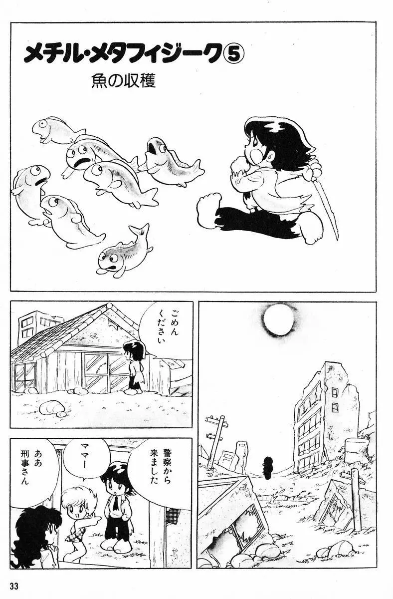 メチル・メタフィジーク Page.34