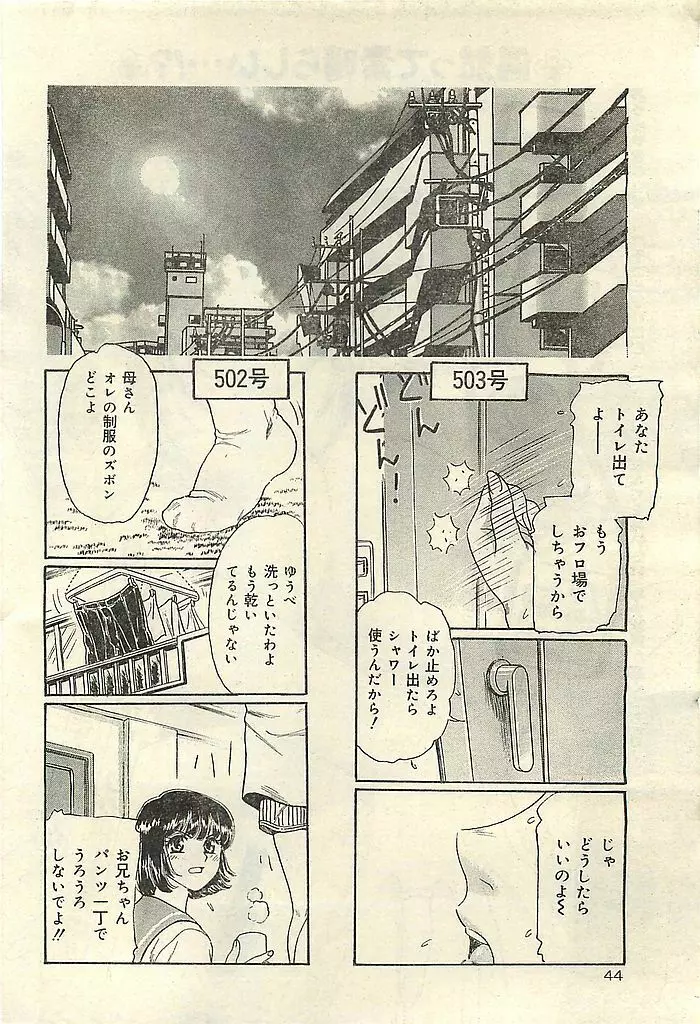 COMIC レモンクラブ 2003年1月号 Page.44