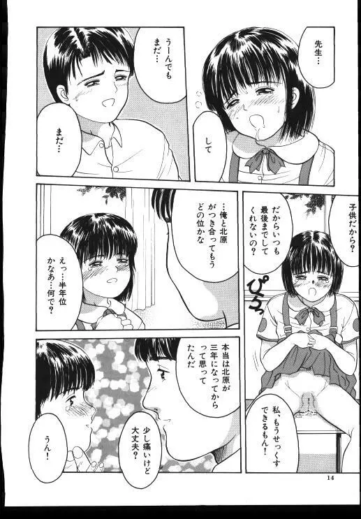 Sinkano Housoku Page.13