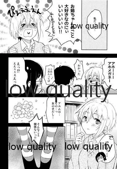 全部、お姉ちゃんが悪いんだ Page.7