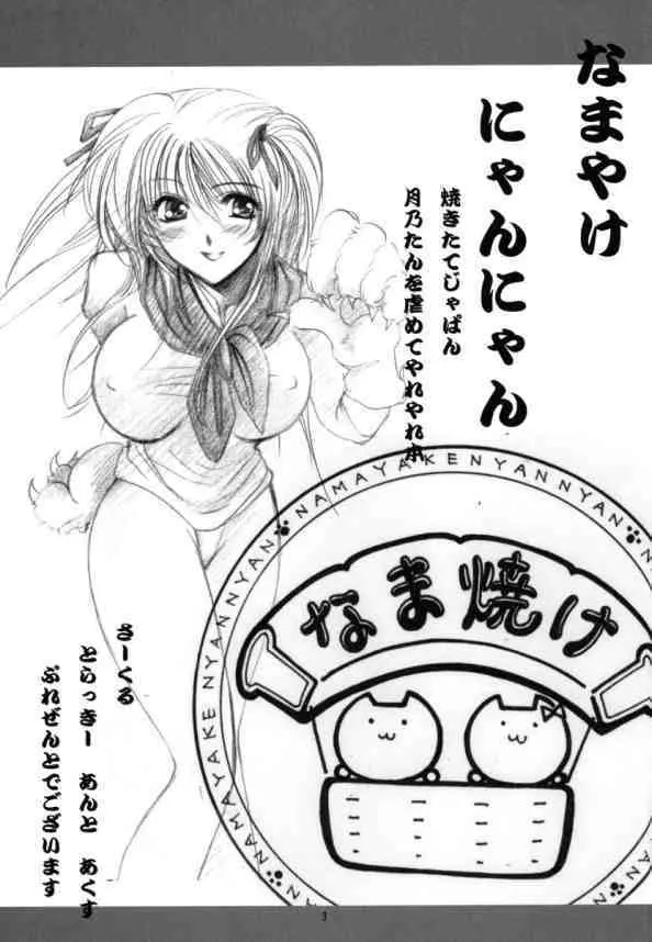 なまやけニャンニャン Page.2